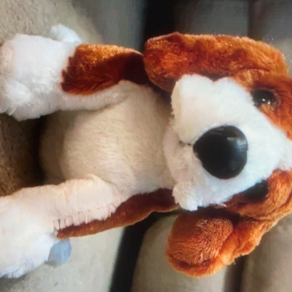 Ganz webkinz beagle